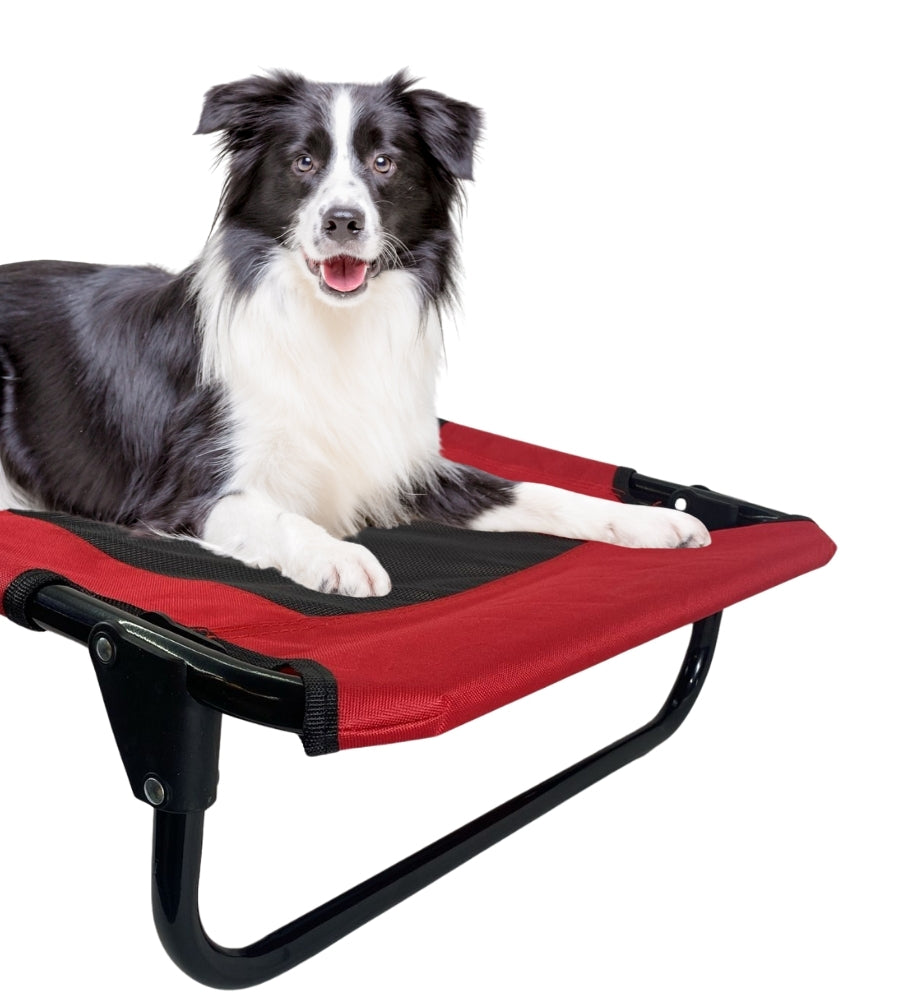 Brandina per Cani Pieghevole Lettino Cani Taglia Media Traspirante 76x52x18 cm