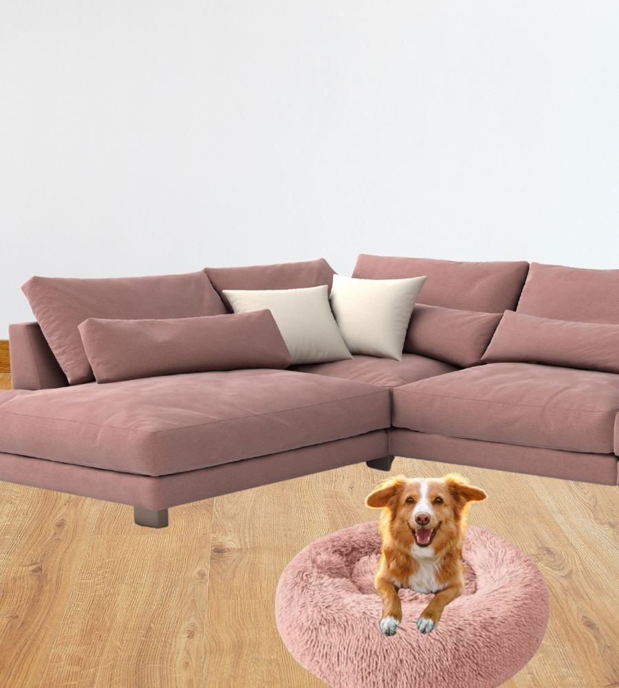 Cuccia Soffice per Cani Gatti Cuccia Tonda Morbida Animali Domestici 50 x 15H cm