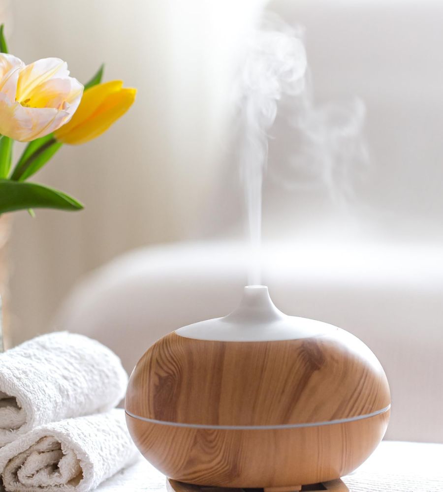 Diffusore di Aromi con 2 Oli Essenziali Ultrasuoni Luce Led Timer Telecomando