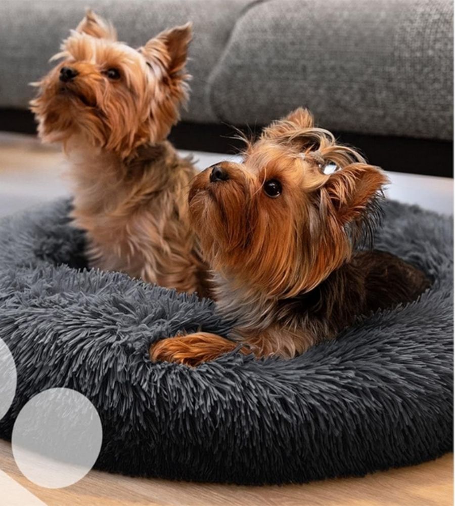 Cuccia Soffice per Cani Gatti Cuccia Tonda Morbida Animali Domestici 50 x 15H cm