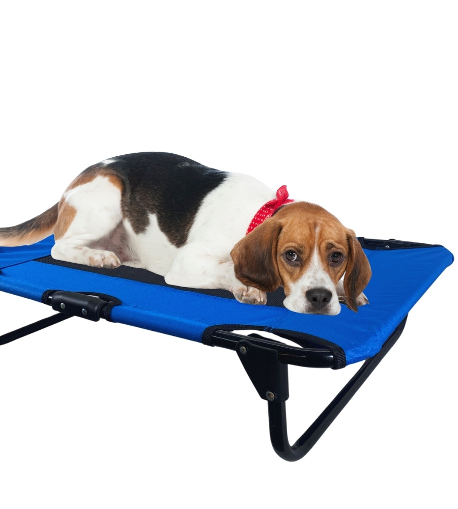Brandina per Cani Pieghevole Lettino Cani Taglia Media Traspirante 76x52x18 cm