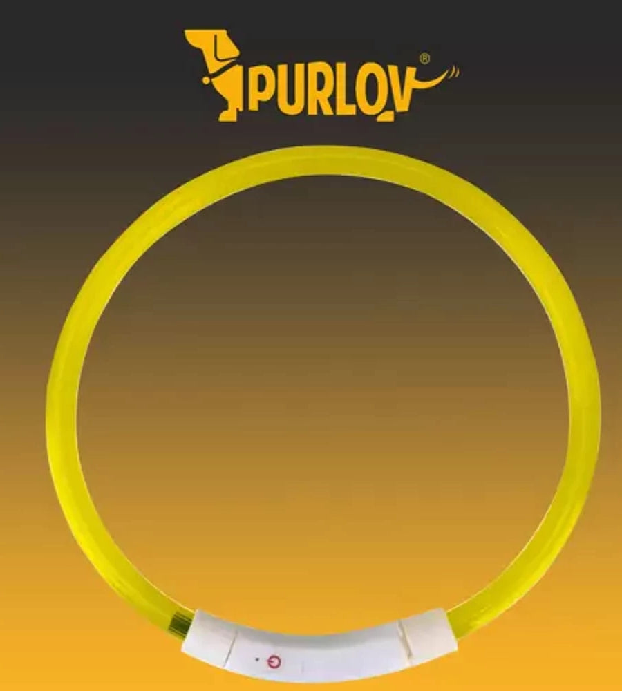 Collare LED Luminoso Cani e Gatto USB Ricaricabile Regolabile con Taglio 35 cm Animali Domestici Piccola e Media Taglia Fair