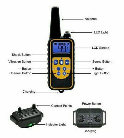 Collare Addestramento Cani 800M Telecomando Impermeabile Scossa Elettrico LCD