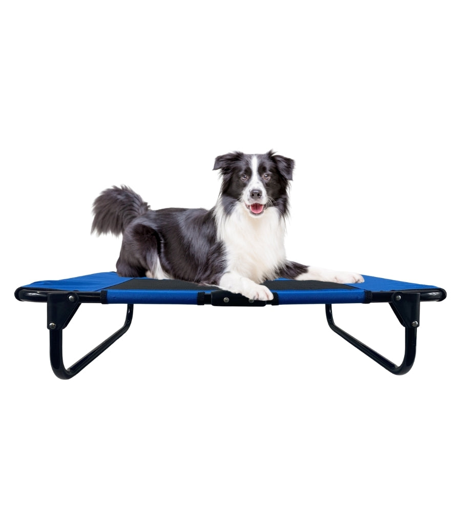 Brandina per Cani Pieghevole Lettino Cani Taglia Media Traspirante 76x52x18 cm