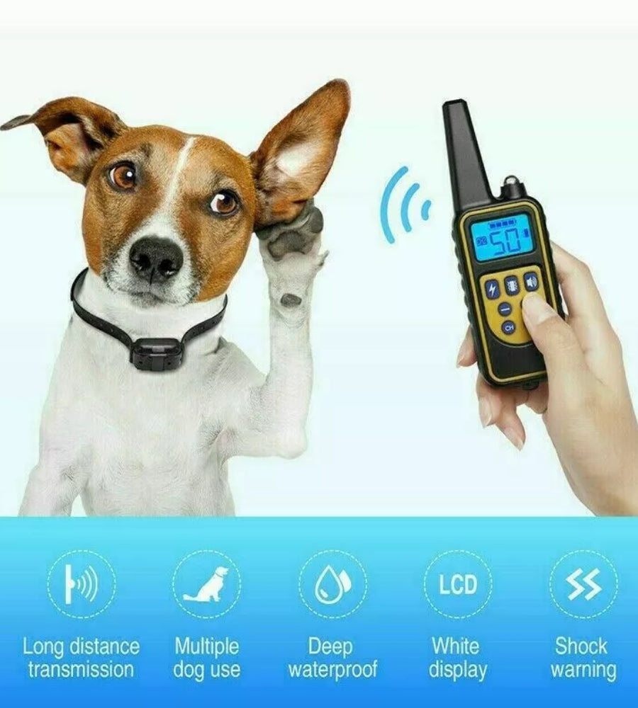 Collare Addestramento Cani 800M Telecomando Impermeabile Scossa Elettrico LCD
