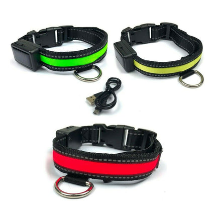 Collare LED Fluo Regolabile Luminoso Per Cani Ricarica Usb o Solare 3 Taglie