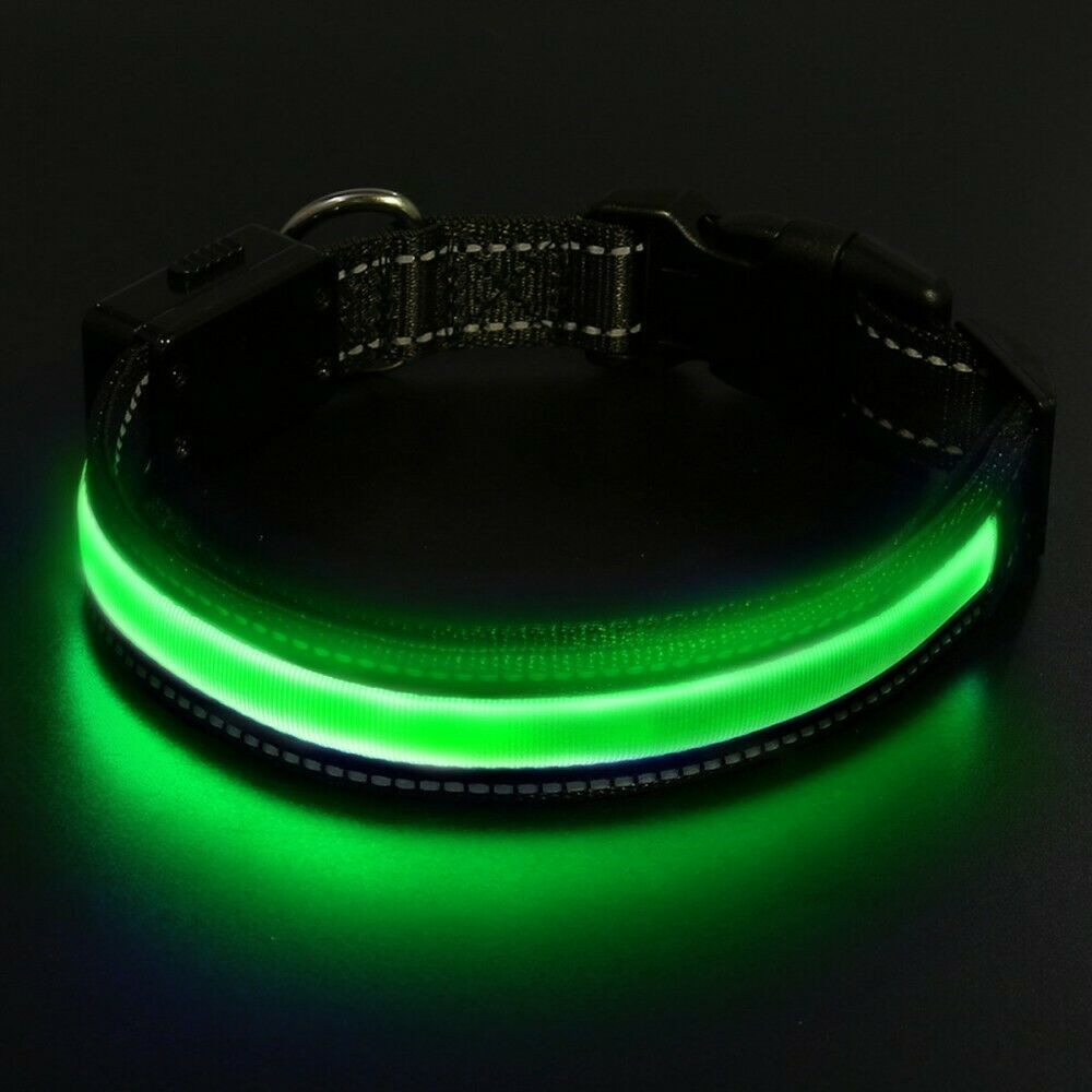 Collare LED Fluo Regolabile Luminoso Per Cani Ricarica Usb o Solare 3 Taglie