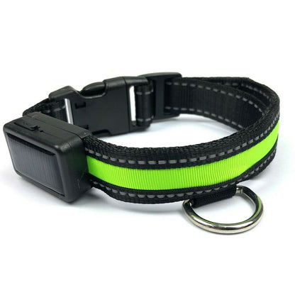 Collare LED Fluo Regolabile Luminoso Per Cani Ricarica Usb o Solare 3 Taglie