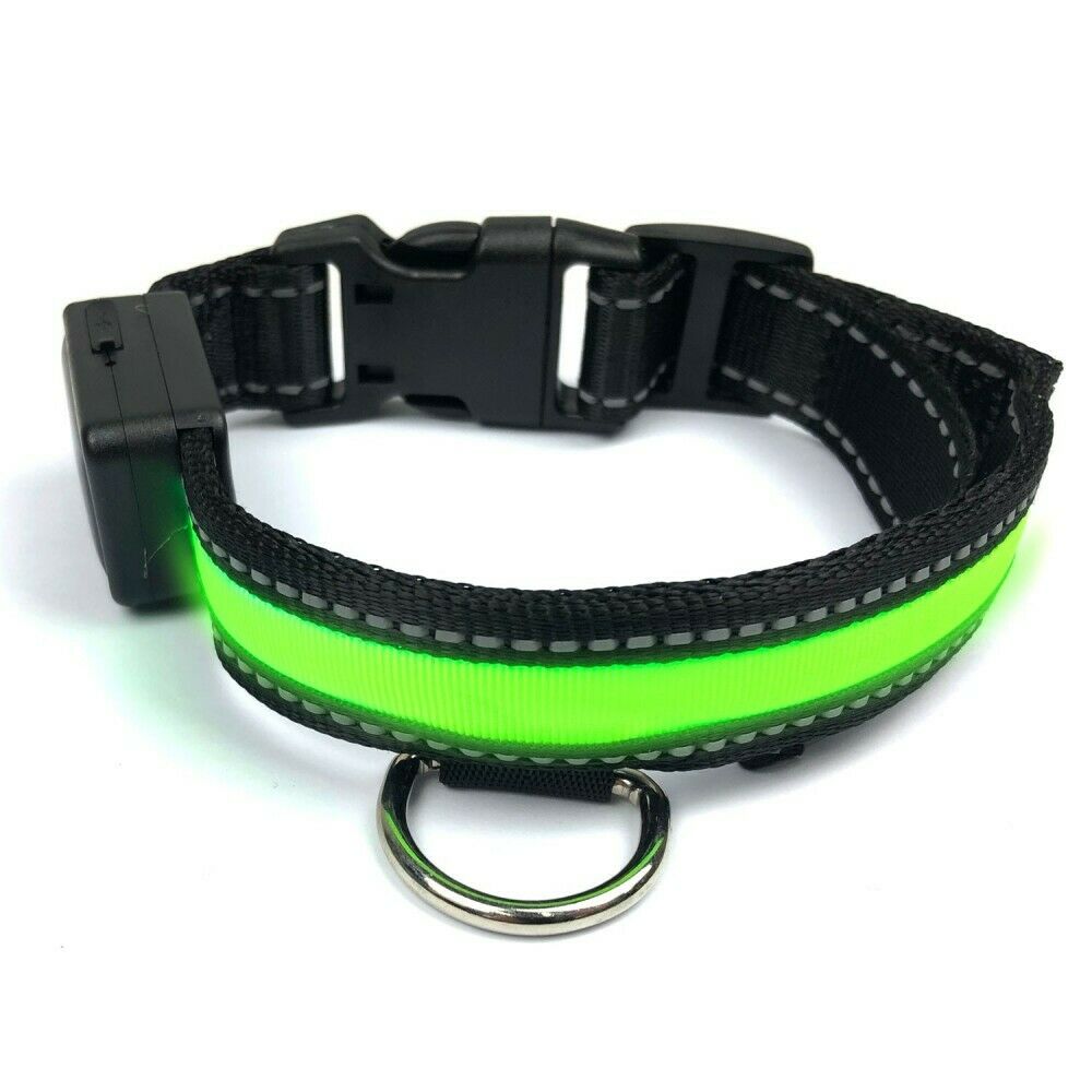 Collare LED Fluo Regolabile Luminoso Per Cani Ricarica Usb o Solare 3 Taglie