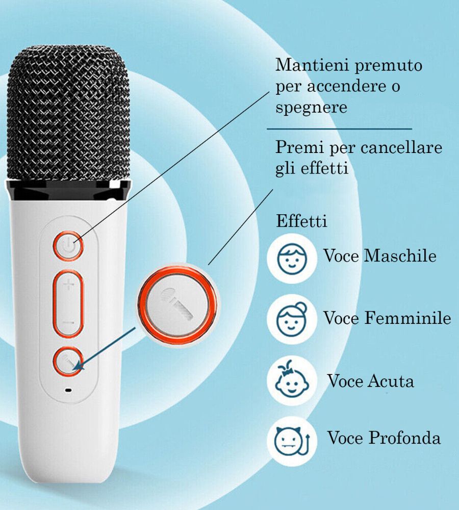 Cassa Bluetooth Speaker Portatile Karaoke 2 Microfoni Senza Fili Effetti Voce